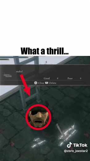 The Thrill of Metal Gear Solid Memes
