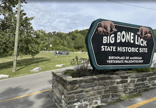 Adventure's Calling: This Park Is Ideal for Discovering Fossils in Kentucky