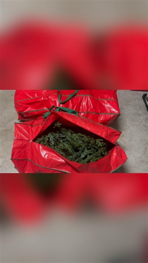 Easy and Safe way to store a Large Christmas Tree!