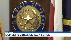 Domestic Violence Task Force tackles backlog of cases
