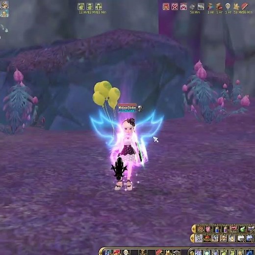 Insanity Flyff Inventory Struggles