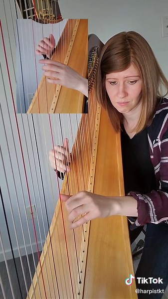 Duet Harp Performance | 4 Hands Collaboration