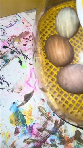 Hatchables Canada | Family Chick Hatching Kit 🥚🐣🐥| Day 19 🗓️