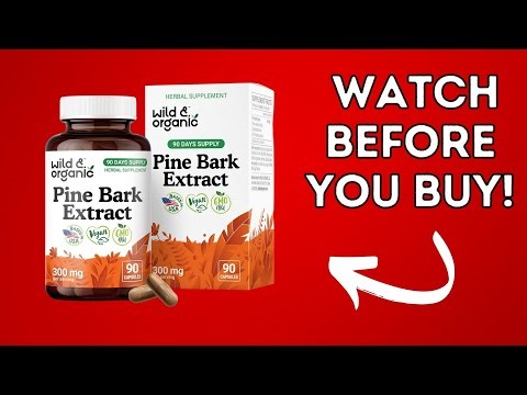 Wild & Organic Pine Bark Extract Capsules 300 mg | Product Review