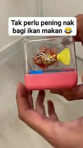 9.3K views · 11 reactions | Swiming fish  https://shope.ee/40ErHefFAA | Koleksi Rumah Impianku | Facebook