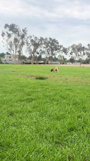 It’s their world we’re just living in it 💗🌸💐💚🌿