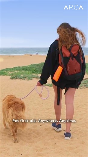 Dog Owners… You Need This in Your Bag 🚨