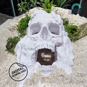 Terrarium & Aquarium Skull Hide – Pirate Cave for Fish, Reptiles, Shrimp, Spiders and Insects, Underwater Cave Decor | 3D Printable STL File - Etsy