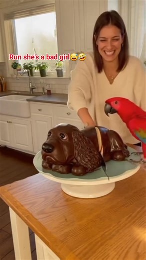 Daily vlog❤️ | Mel Barile