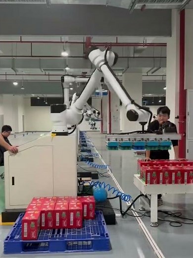 Automated Palletizing Robot | Box Handling System for Logistics & Packaging