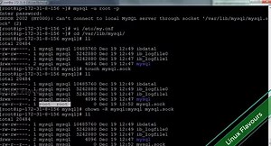 Error 2002 (Hy000): Can't connect to local MySQL srever through socket '/var/lib/mysql/mysql.sock'