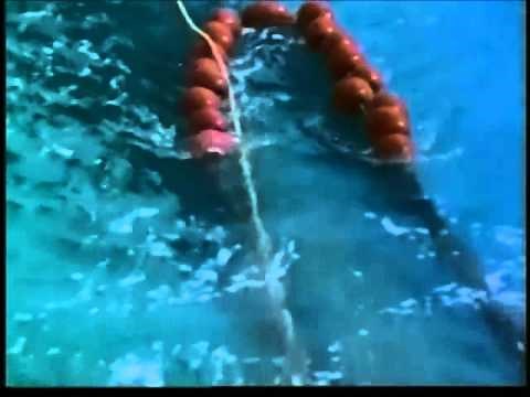 Shrimp Trawls Design and Performance