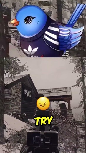 Killing Twitch Streamers in Escape From Tarkov #EFT #Tarkov #Escapefromtarkov