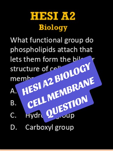 This HESI A2 Biology practice question focuses on phospholipids and the functional group responsible for forming the bilayer structure of cell membranes. Understanding membrane structure is essential for success on the HESI A2 exam and helps reinforce core concepts in cellular biology commonly tested in nursing entrance exams. #HESIA2 #Biology #HESIPrep #CellMembrane #NursingEntranceExam