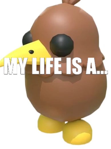 Discover the Fascinating Kiwi Bird of New Zealand