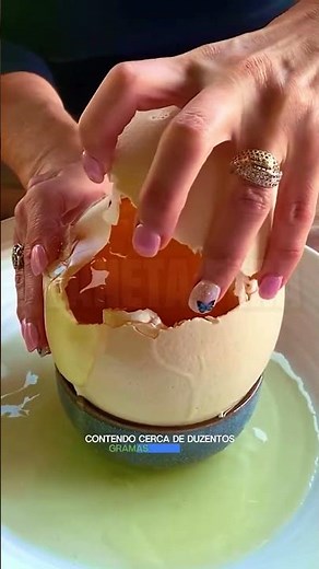 🎯 As Aves com os Maiores Ovos do Planeta! 🥚🐦 #curiosidade #animals #bichos