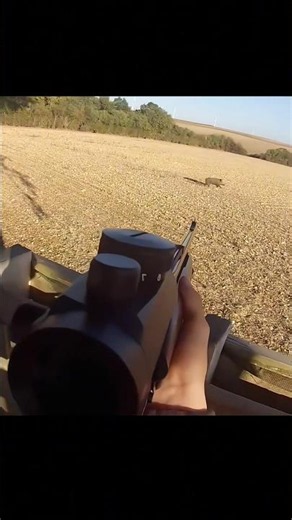 идеальный выстрел в попу с близкого расстояния. Дикие слова.#охота#hunting #chase
