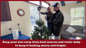 ✨🎄There’s nothing quite like choosing a real West Virginia Christmas tree to make your holiday bright. 🌲✨ Our local growers work year-round to bring families the freshest, highest-quality trees for the holiday season. Our team put together a quick guide on how to pick the right one, make a fresh cut, and set it up safely in your home. Support a WV farm and make a memory that lasts. #WVGrown And thank you to Wilkerson Christmas Tree Farm for the use of your tree! | West Virginia Department of A