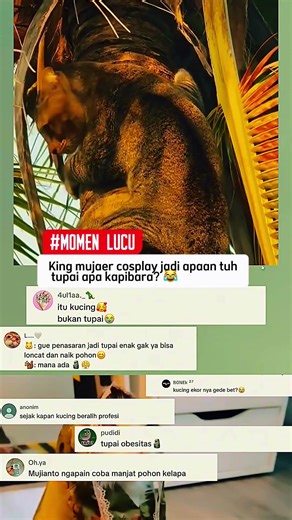 “Nyamar Jadi Tupai?! Kucing Ini Kabur dari Babu 🤣🐱🐿️”