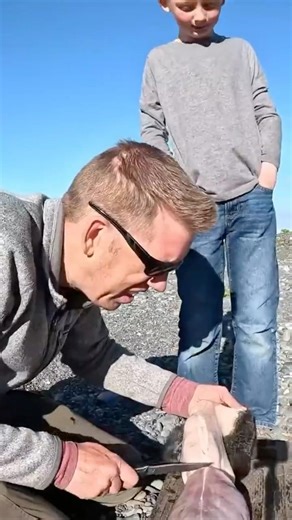 Hunting Rabbits on a Remote Island in Alaska #wildlife