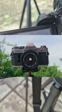 3 Tips to Overcome Dark Photos Due to Backlight. #tips #photography #backlight #exposure #igunawa...