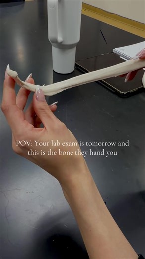 Understanding Rib Placement in Human Anatomy