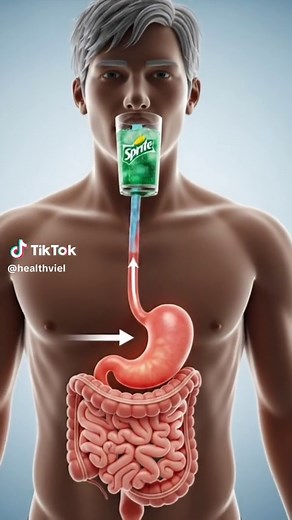 Effects of Sprite on the Human Body Explained