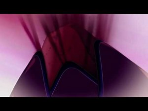 LoliRock transformation colors!