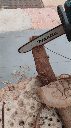 the process of cutting or chopping tree trunks with a chainsaw #shorts