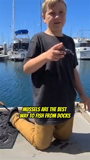 13K views · 104 reactions | Mussels are the best way to fish from the docks! - Part 1 Your Saltwater Guide is Sponsored by McCarty Yacht Group. | Your Saltwater Guide | Facebook