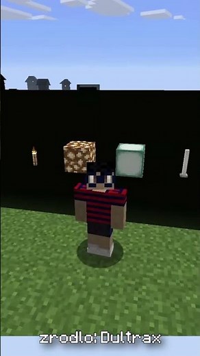 WHAT IF YOU REMOVE THE ENTIRE WORLD BORDER in Minecraft?!