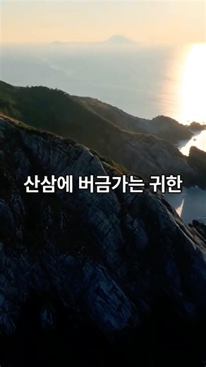 산삼보다 귀한 나무? 울릉도 마가목의 놀라운 효능 | 마가보감 프리미엄 #마가목 #기관지건강
