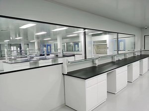 [Hot Item] Cleanroom Engineering Modular Clean Room Class 100 Clean Room Project