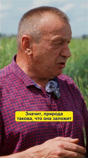 Farmer: What a hassle with saltpeter! #farmer #farm #harvest #fertilizer #grain