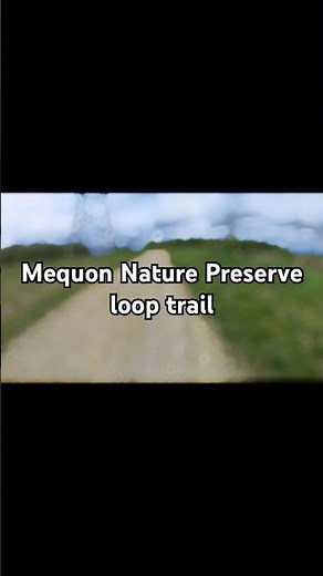 Harvey’s Woods Loop Trail | Mequon Nature Preserve 🌲 Wisconsin Hiking