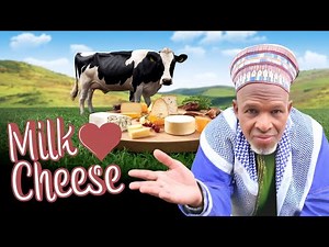 From Cow to Cheese: The Dairy Farming Process Explained