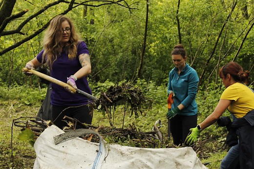 Volunteering - Interlink RCT English