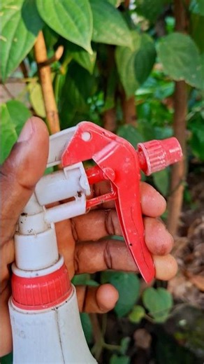 Garden Fix | Replacing My Old Sprayer & Watering Plants (ASMR) 🧑‍🌾