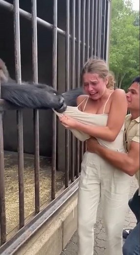 OMG! Gorilla ATTACKS Woman at Zoo! (Insane Reaction) #gorilla #animals #zoo