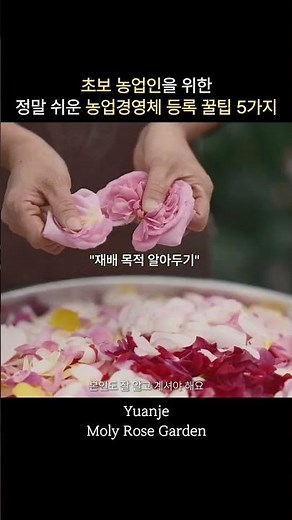 초보 농업인을 위한 농업경영체 등록 꿀팁 5가지
