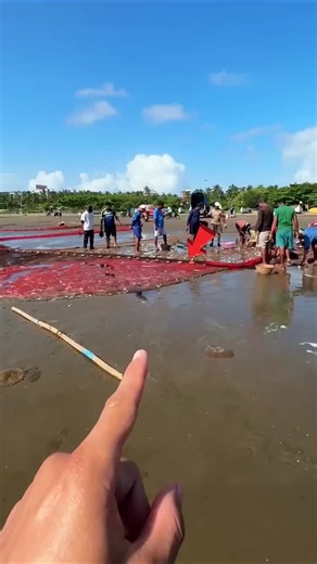 Scroll Fuel (@martinqxnsg)’s videos with original sound - Scroll Fuel