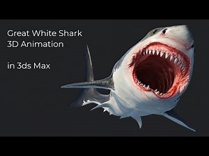 Great White Shark 3D Animation