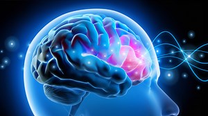 Device That Massages The Neck And Face May Assist In Flushing Waste Out Of The Brain