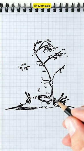 How to Draw Birch tree with white bark