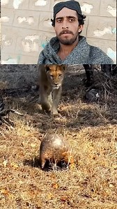 #viralvideochallenge atna mazbot janwar | ronghan star7