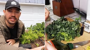 I'm a gardening expert and you can harvest 5 fast-growing veggies in a MONTH
