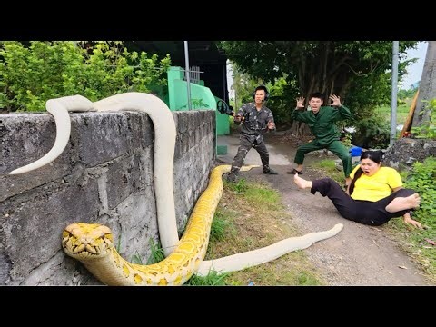 2 Brave Hunters Risk Their Lives to Rescue Girl from Giant White Python in Abandoned House