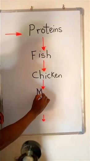 Examples of Protein foods