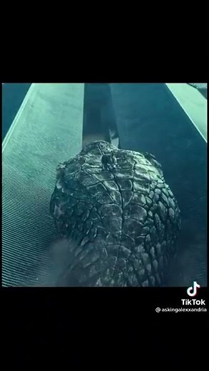 naruto live action 2022 trailer teaser movie 1 trailer