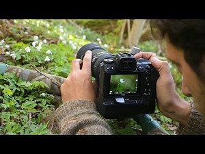 MACRO PHOTOGRAPHY IN THE FOREST | Spring flowers